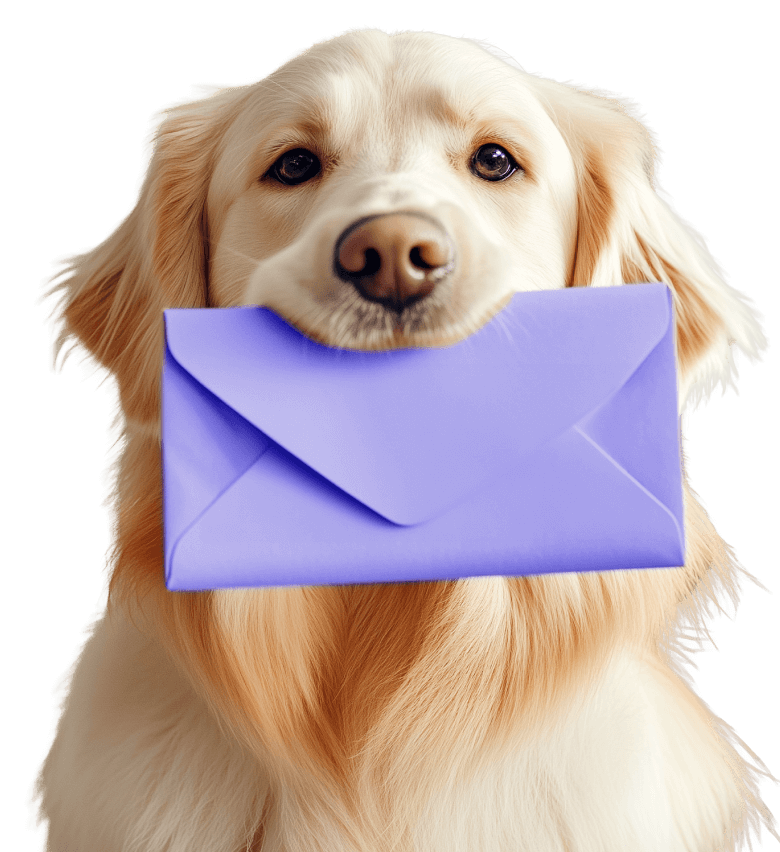 Newsletter V1 Pawcare Webflow Template | BRIX Template
