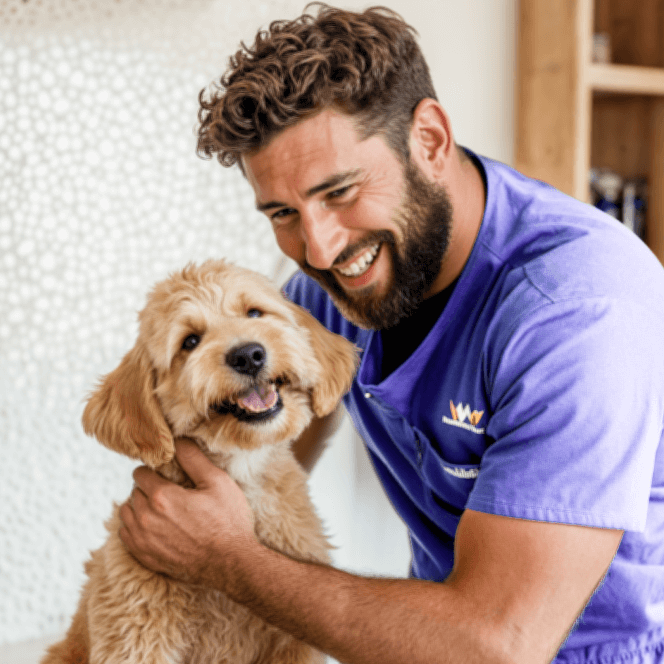 Newsletter V4 Pawcare Webflow Template | BRIX Template
