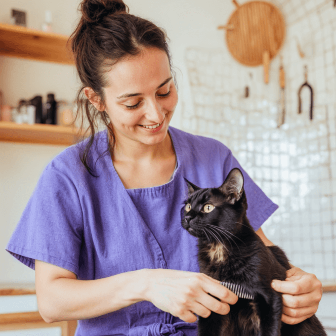 Newsletter V5 Pawcare Webflow Template | BRIX Template
