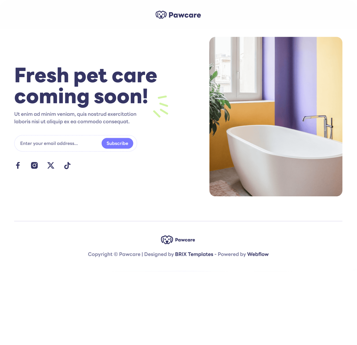 Pawcare Coming Soon Utility Page Grooming Webflow Template | BRIX Template
