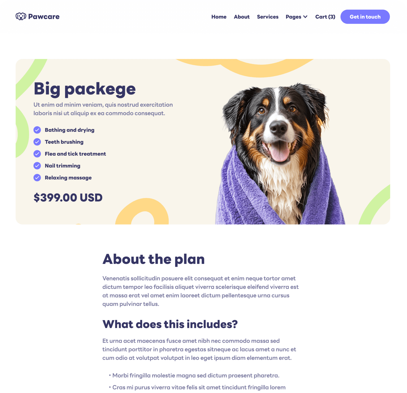 Pawcare Package Single Main Page Grooming Webflow Template | BRIX Template
