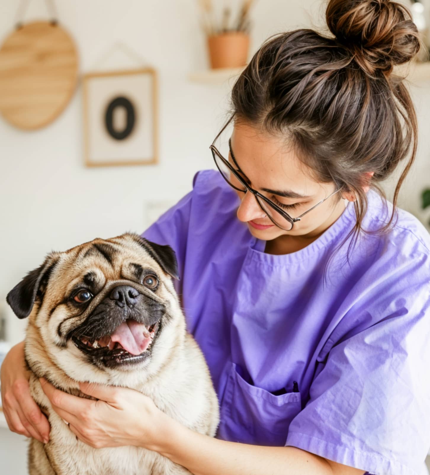 Why Choose Our Service Pawcare Webflow Template | BRIX Template
